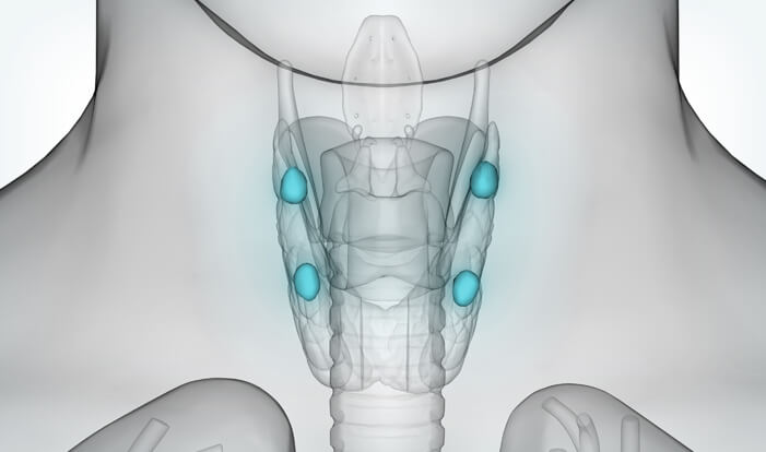 Parathyroid Disease